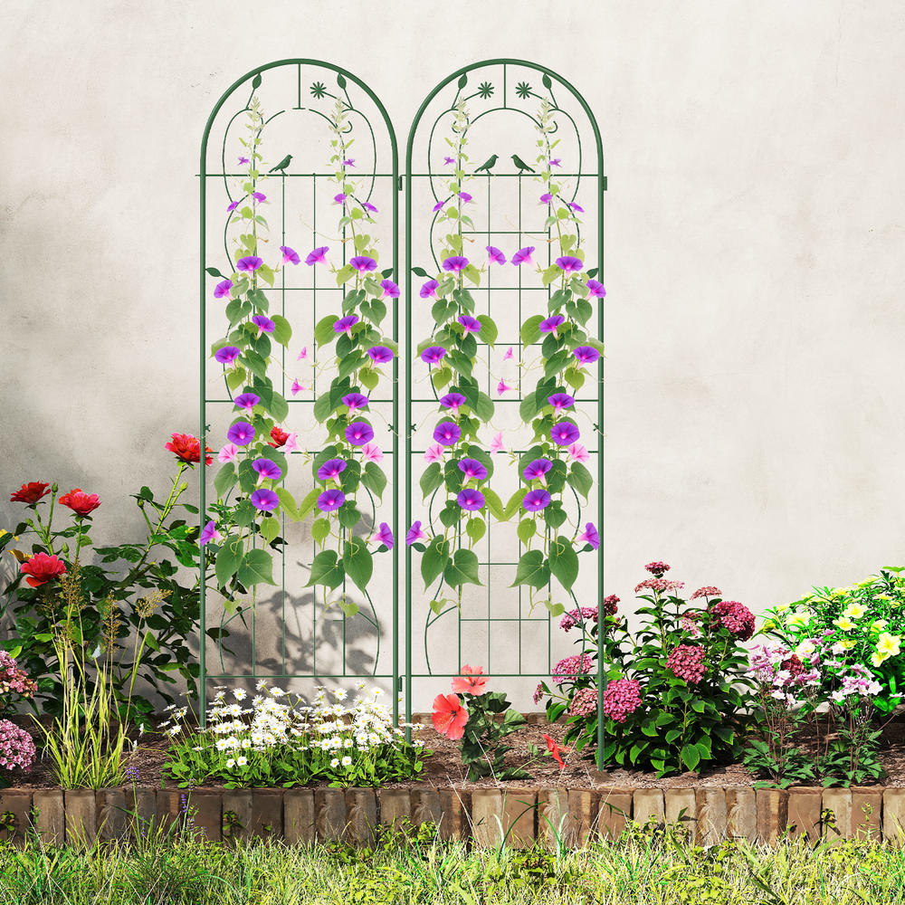 Plants X - 4 Pack 71 X 20 Inches