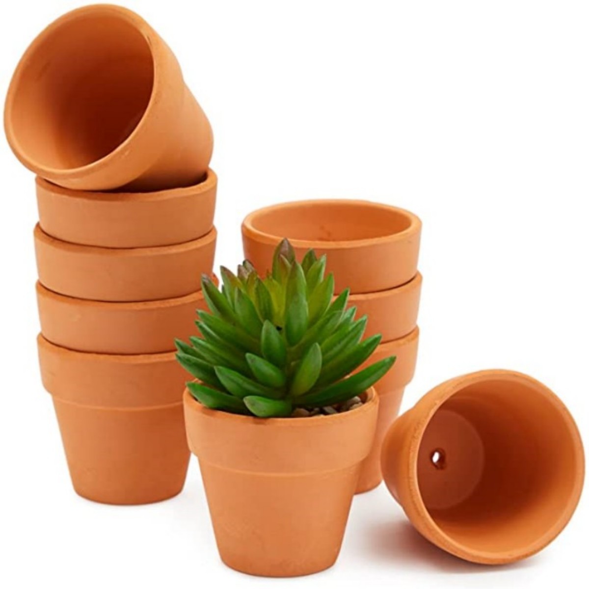 Cactus Mix Pot - 16 Pcs 1.8'' Terra Cotta Pots