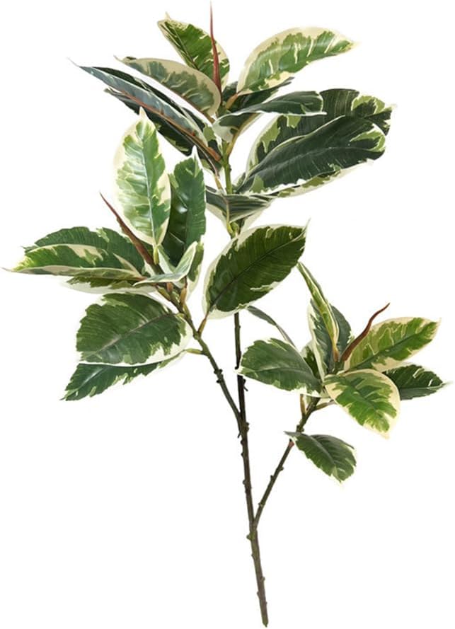 Rubber Plant Ficus - Ficus Tineke Artificial Plant 31
