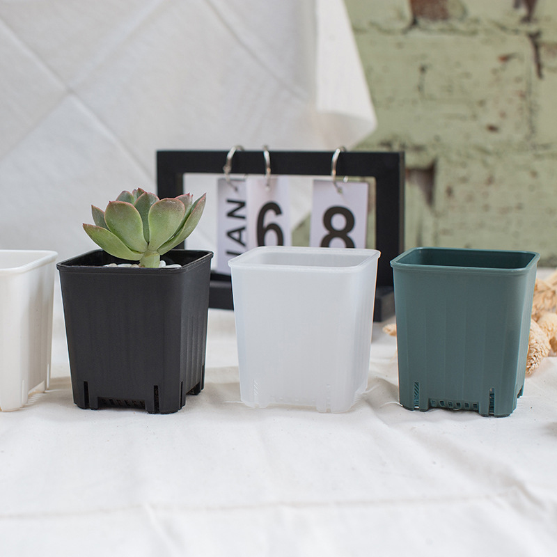 Cactus Mix Pot - 5PCS 5/8CM New Small Square Flowerpot