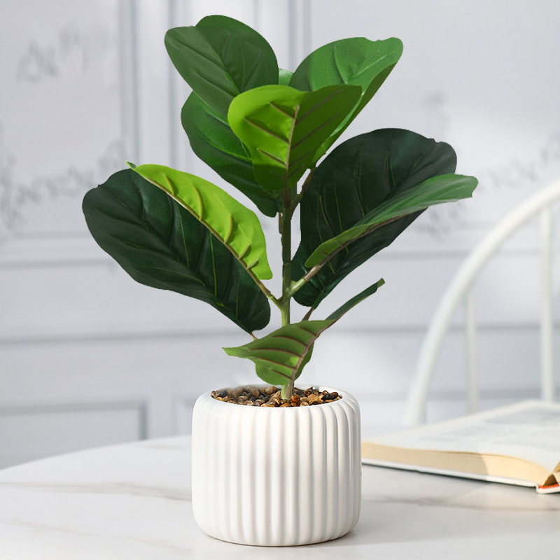 Rubber Plant Ficus - 38cm Fake Ficus Tree Artificial Fiddle