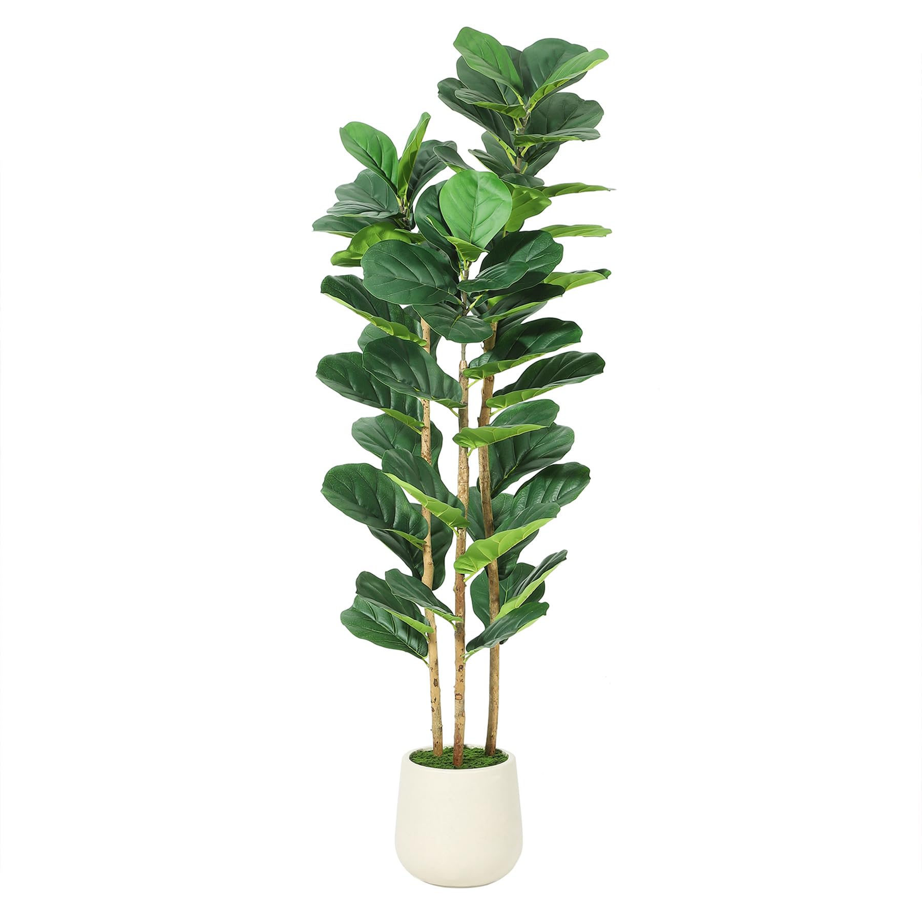 Artificial Fiddle Leaf Fig Tre - đánh giá và giá Rubber Plant Ficus