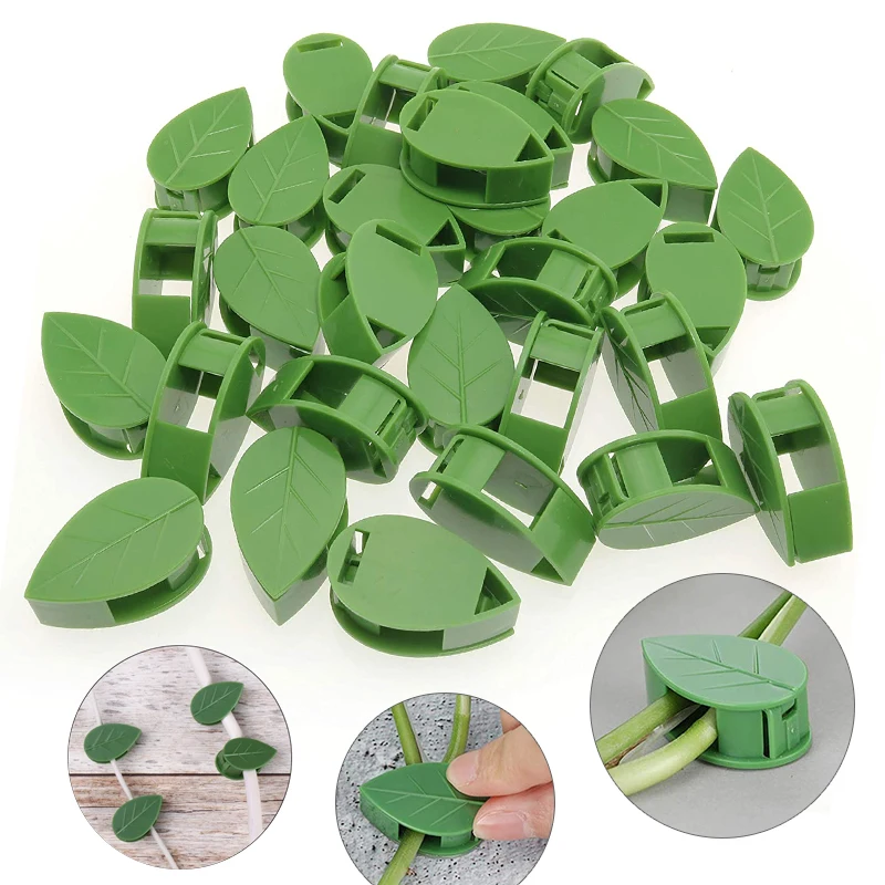 1-50Pcs invisible plant wall c - đánh giá và giá Plant Parent