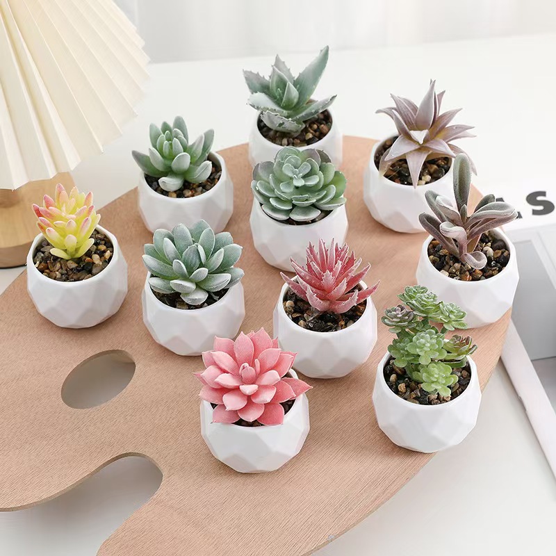 Mini Artificial Plants Simulat - đánh giá và giá Cactus Mix Pot