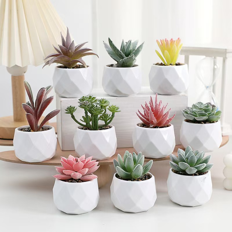 Mini Artificial Plants Simulat - đánh giá và giá Cactus Mix Pot