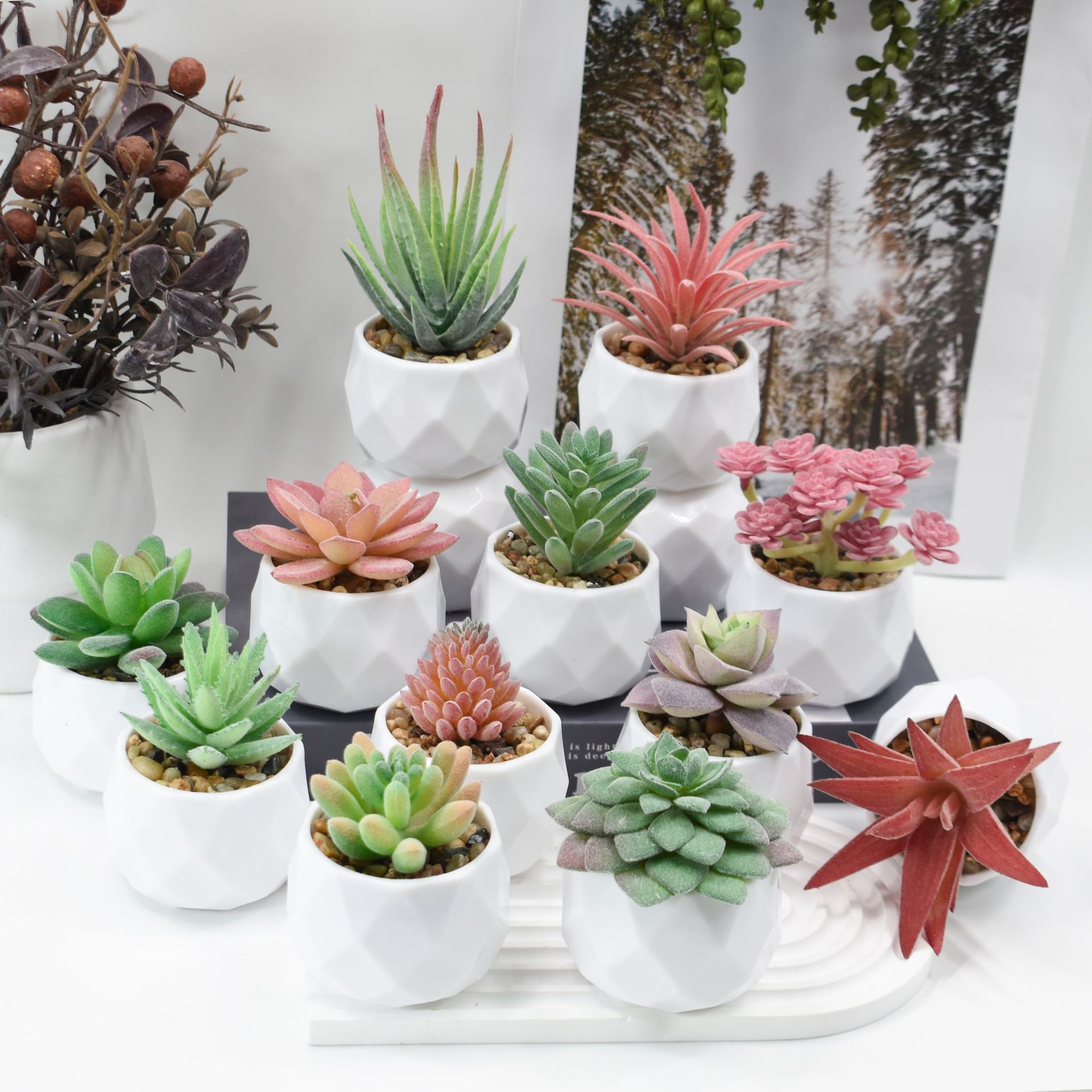 Mini Artificial Plants Simulat - đánh giá và giá Cactus Mix Pot