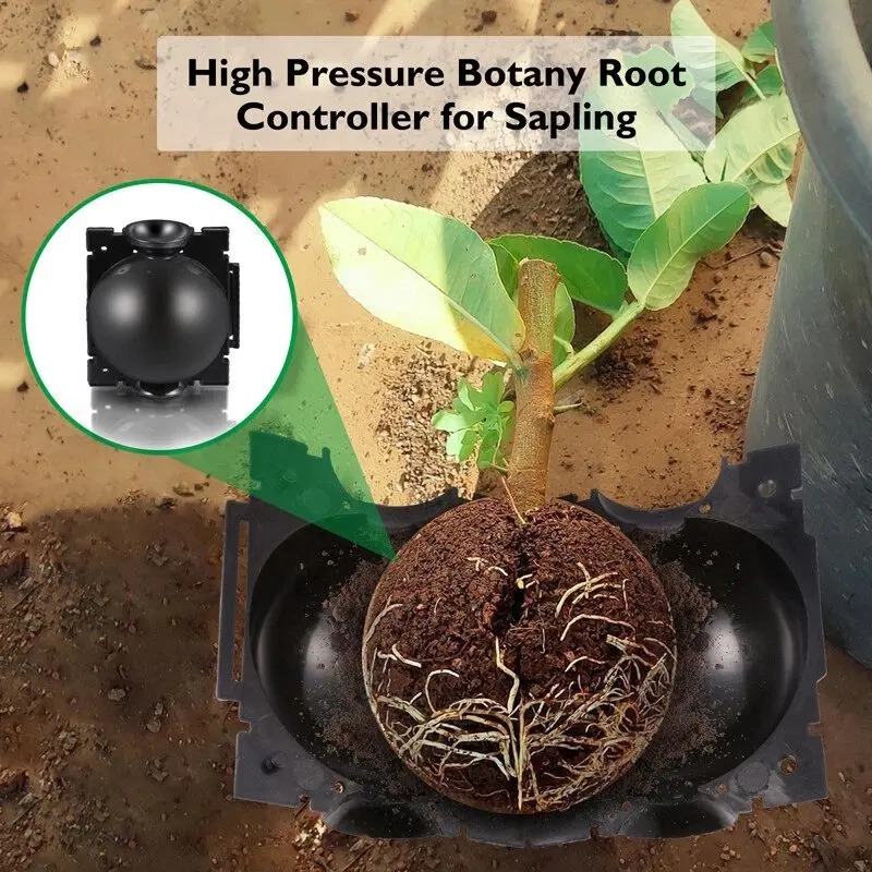 5/30Pcs Plant Rooting Ball Gra - đánh giá và giá Plant Parent
