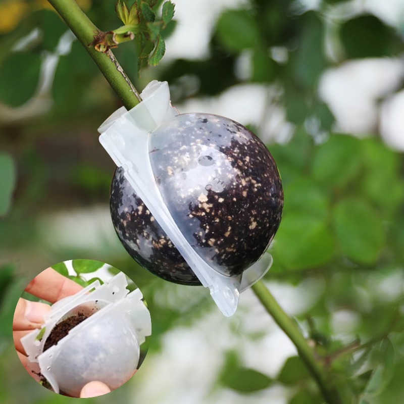 5/30Pcs Plant Rooting Ball Gra - đánh giá và giá Plant Parent