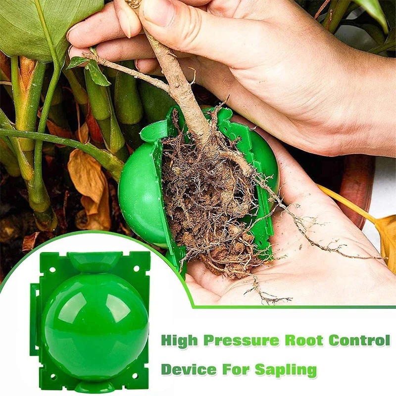 5/30Pcs Plant Rooting Ball Gra - đánh giá và giá Plant Parent