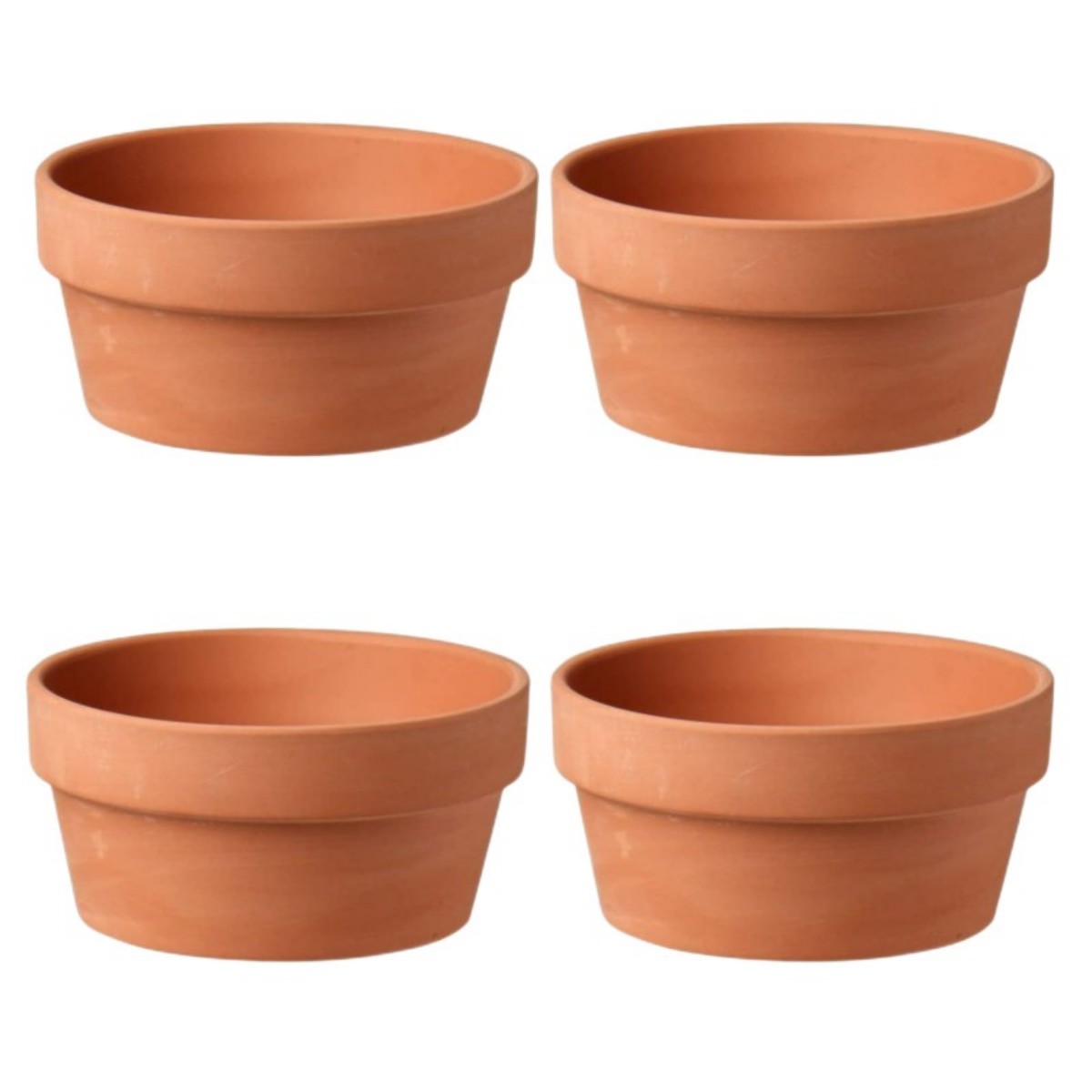 6 PCS Terracotta Buld Pots 3.5 - đánh giá và giá Cactus Mix Pot