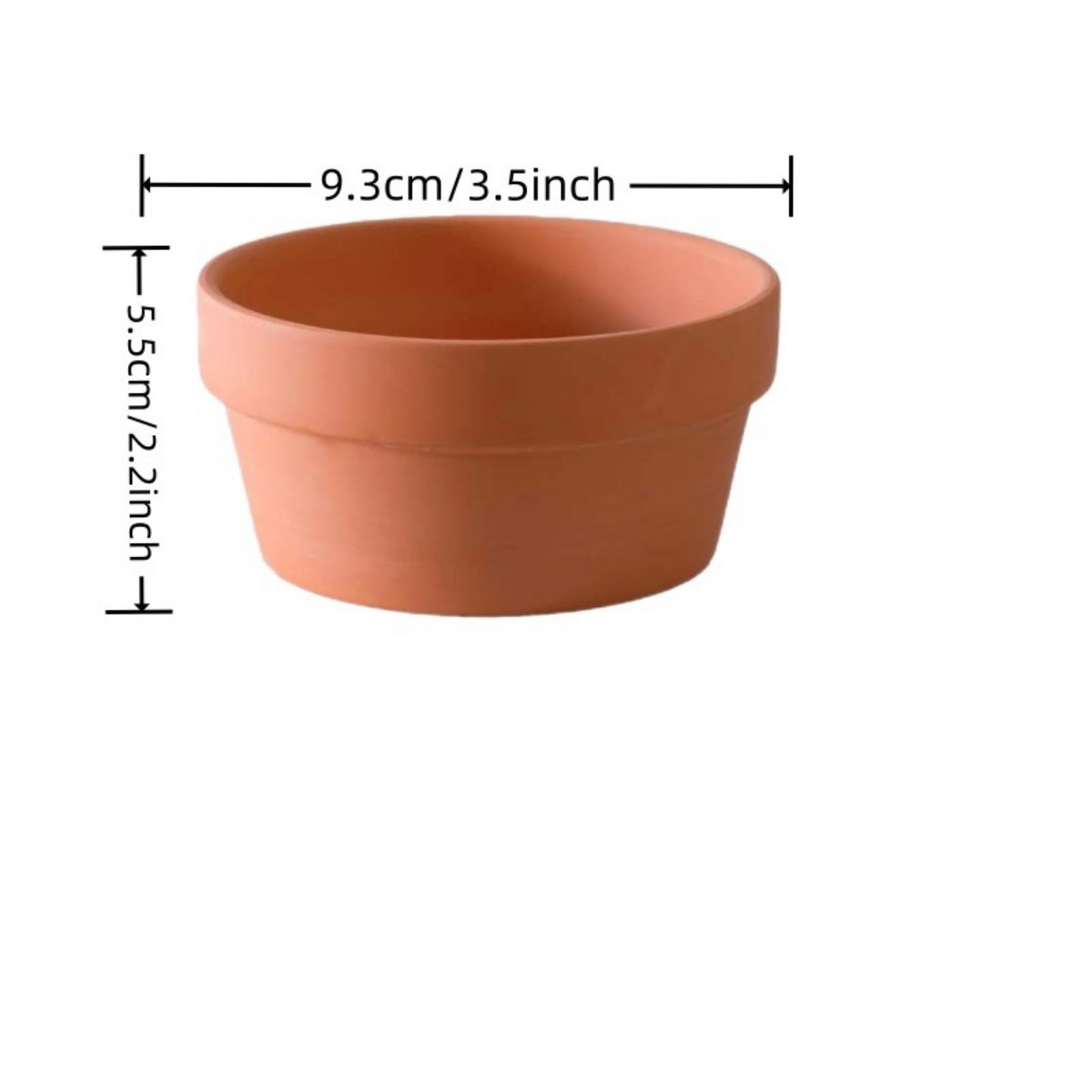 6 PCS Terracotta Buld Pots 3.5 - đánh giá và giá Cactus Mix Pot