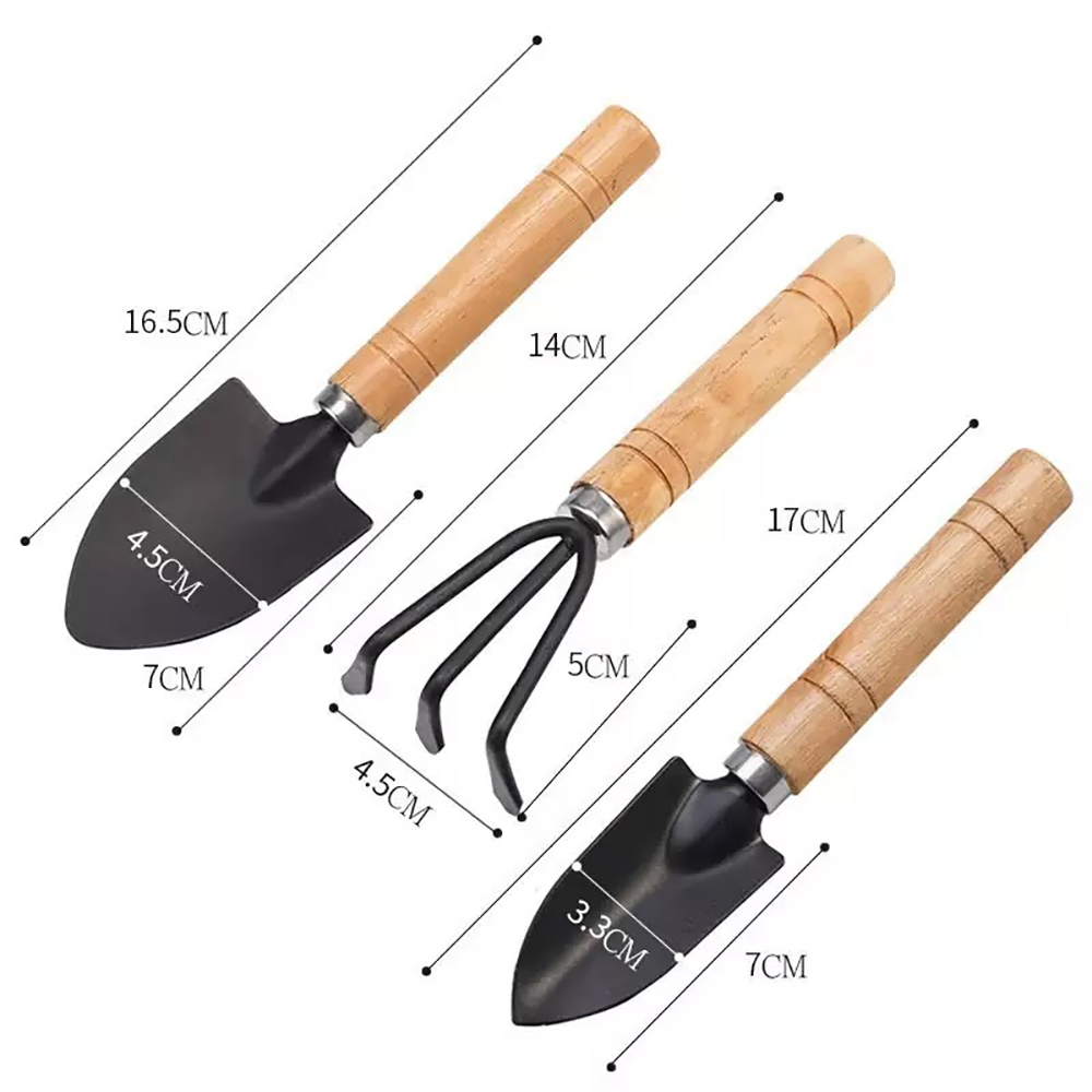 3Pcs/Set Mini Garden Tool Set  - đánh giá và giá Cactus Mix Pot