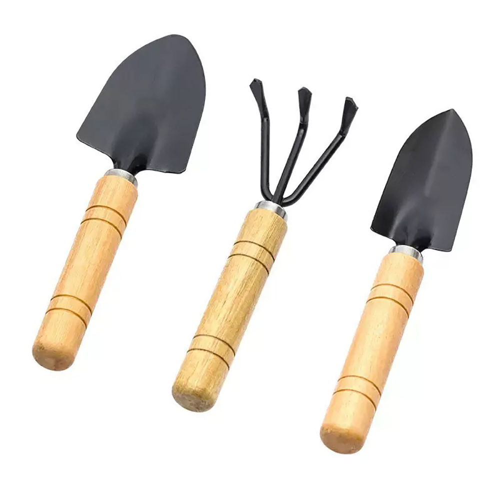 3Pcs/Set Mini Garden Tool Set  - đánh giá và giá Cactus Mix Pot