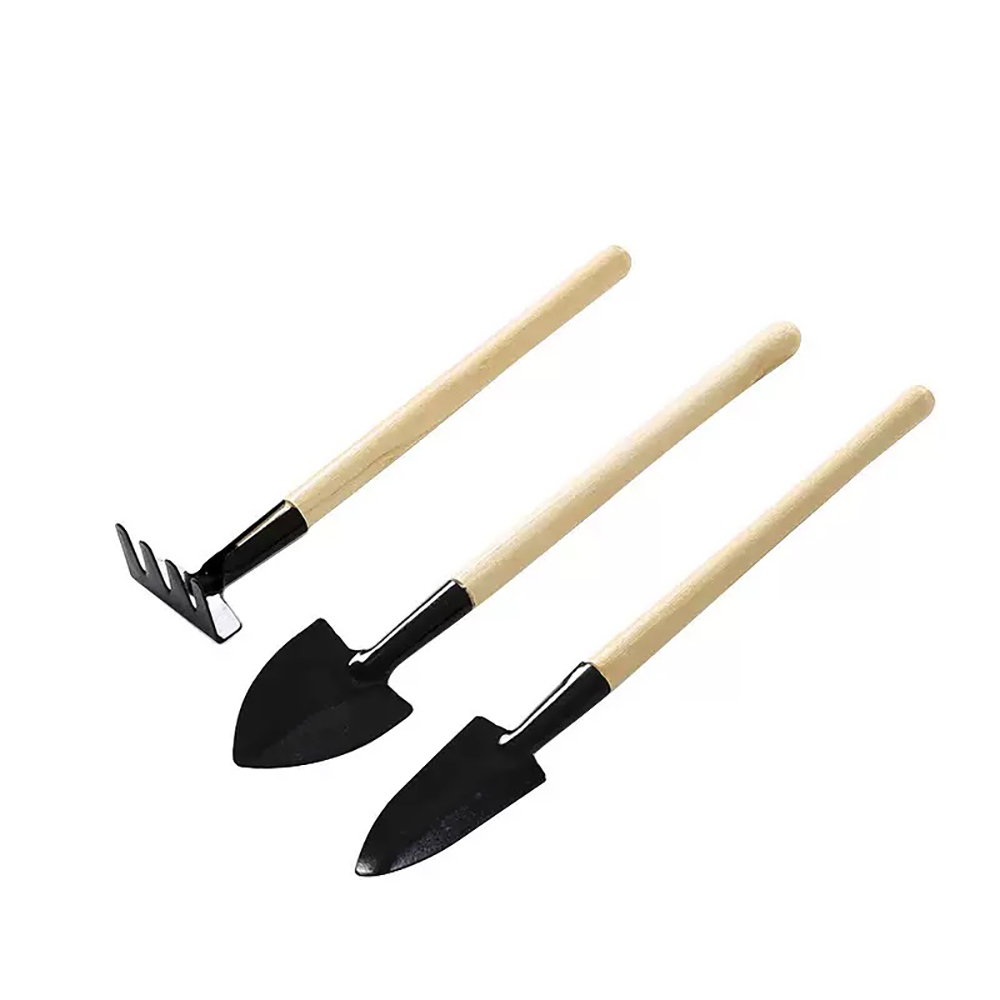 3Pcs/Set Mini Garden Tool Set  - đánh giá và giá Cactus Mix Pot