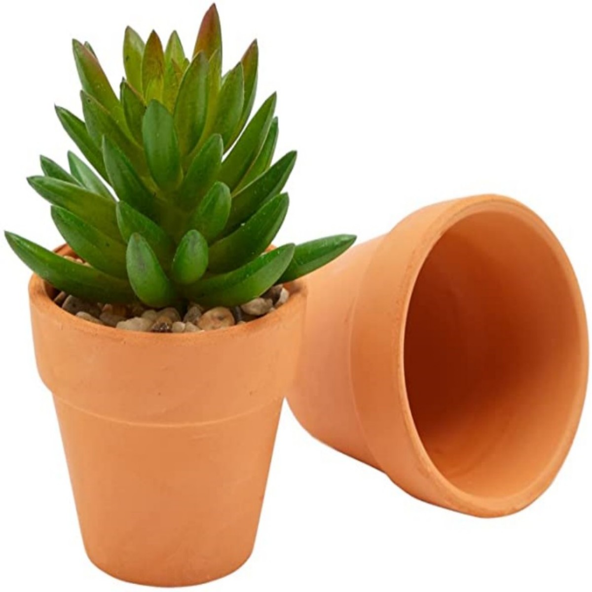 16 Pcs 1.8'' Terra Cotta Pots  - đánh giá và giá Cactus Mix Pot