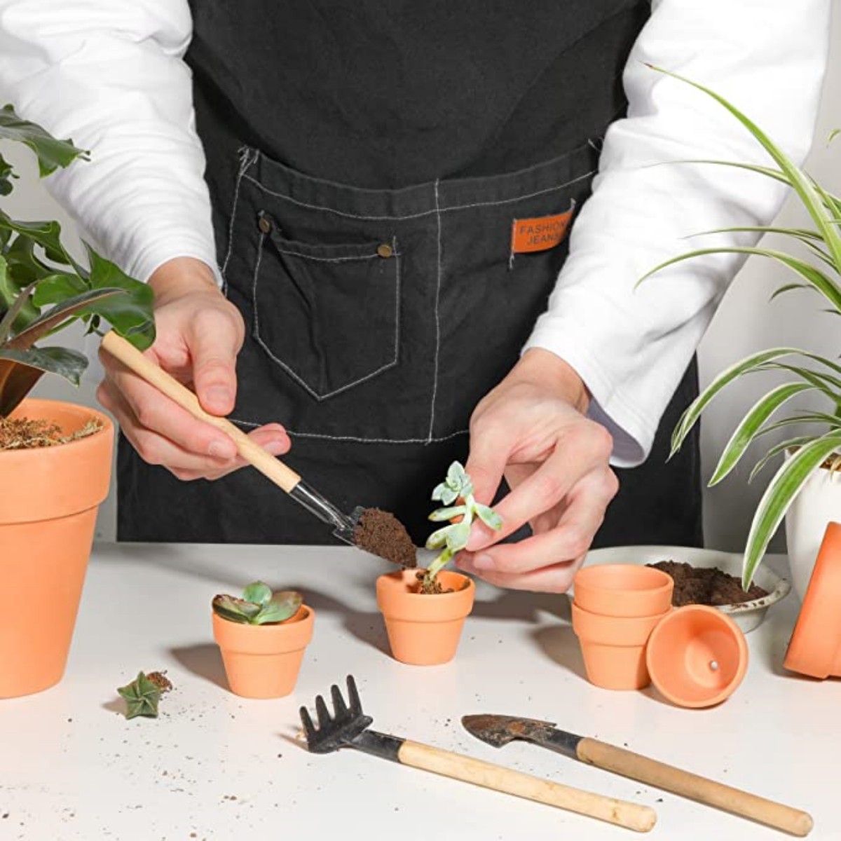 16 Pcs 1.8'' Terra Cotta Pots  - đánh giá và giá Cactus Mix Pot