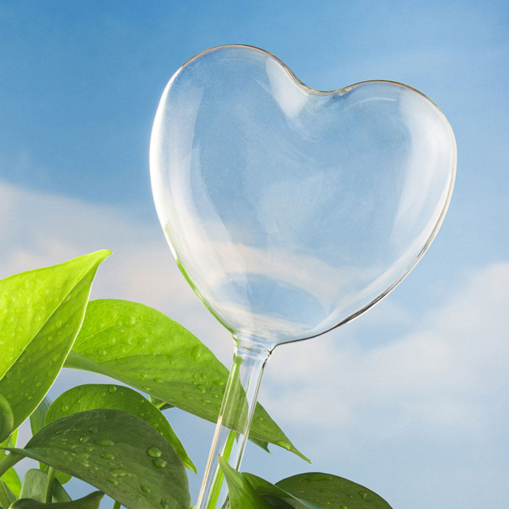 3Pcs Heart Shaped Glass Self W - đánh giá và giá Plant Parent