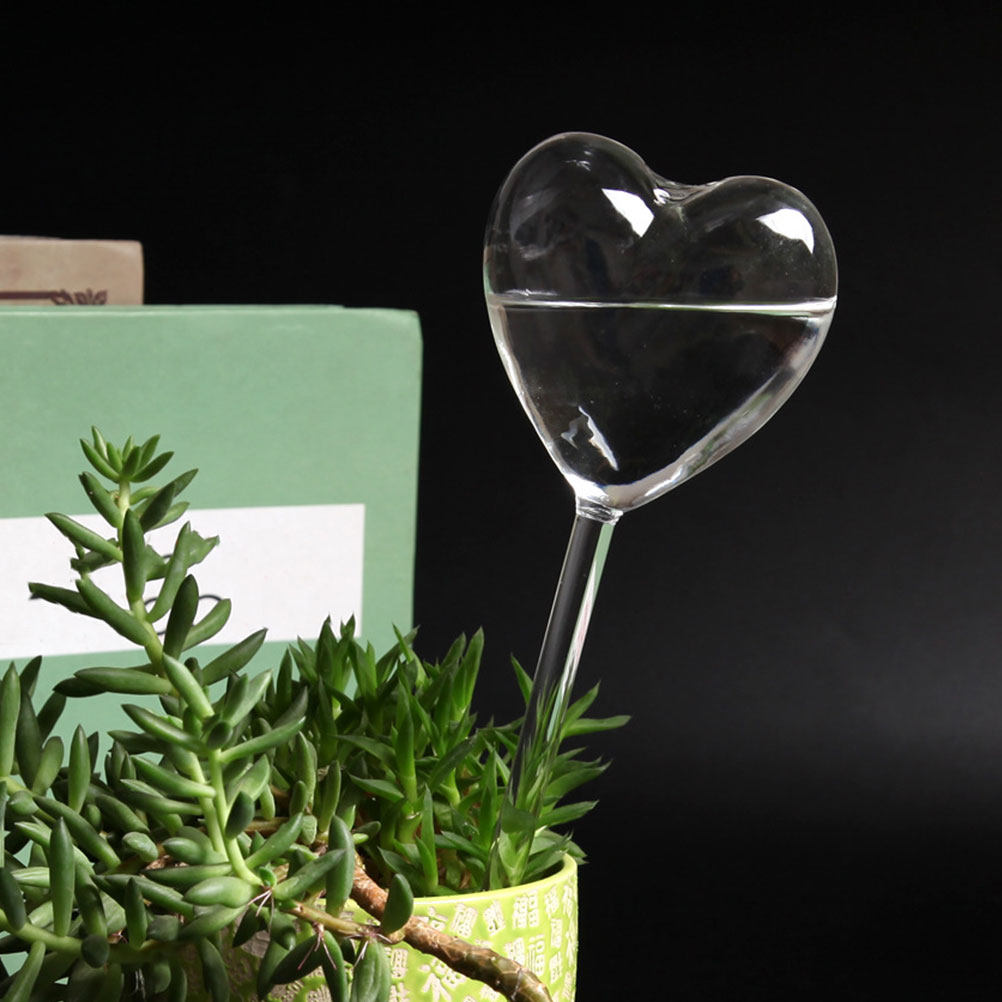 3Pcs Heart Shaped Glass Self W - đánh giá và giá Plant Parent