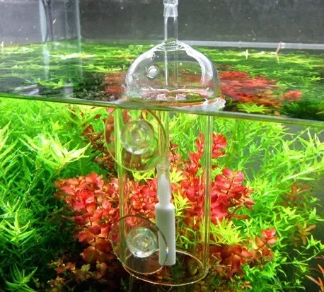 VIV Do Device Aquarium Cylinde - đánh giá và giá Plant Parent