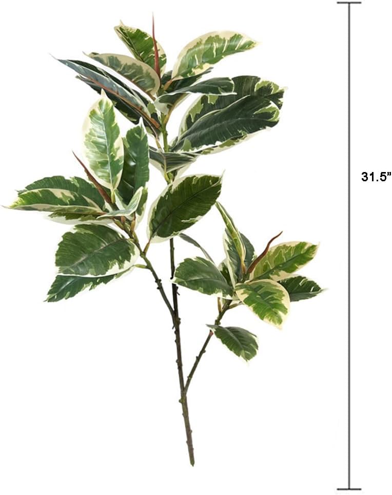 Ficus Tineke Artificial Plant  - đánh giá và giá Rubber Plant Ficus