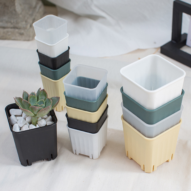 5PCS 5/8CM New Small Square Fl - đánh giá và giá Cactus Mix Pot