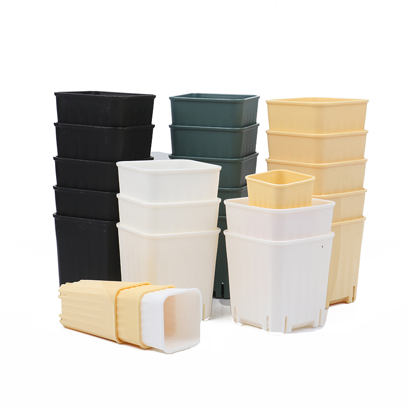 5PCS 5/8CM New Small Square Fl - đánh giá và giá Cactus Mix Pot
