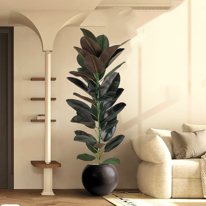 13-70in Large Ficus Tree Artif - đánh giá và giá Rubber Plant Ficus
