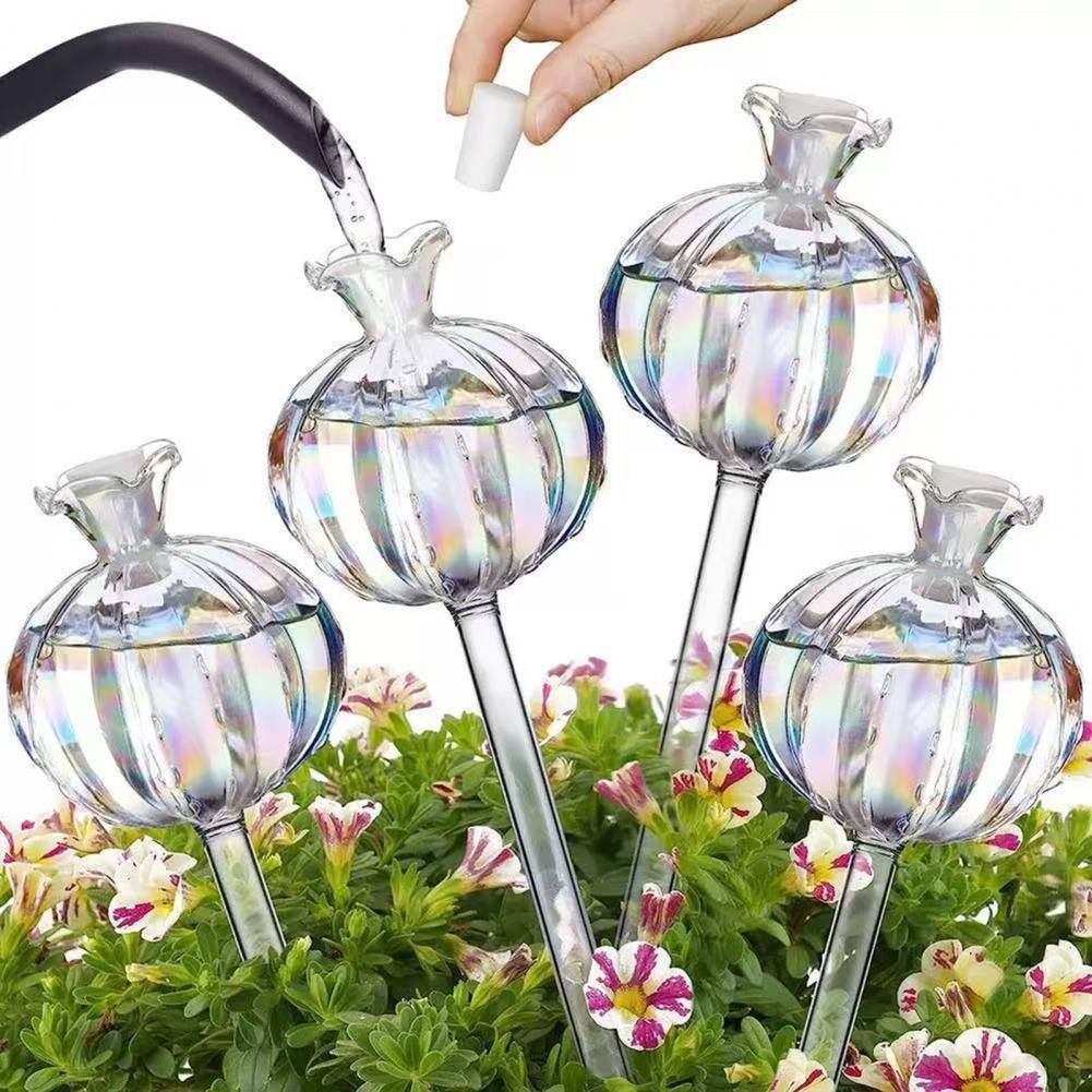 24cm Cactus Self Watering Bulb - đánh giá và giá Cactus Mix Pot