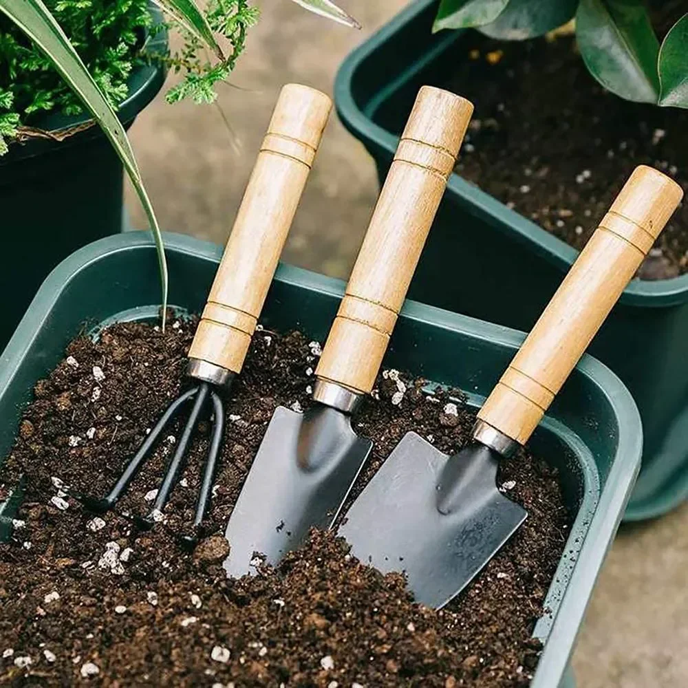 3Pcs/Set Mini Garden Tool Set  - đánh giá và giá Cactus Mix Pot