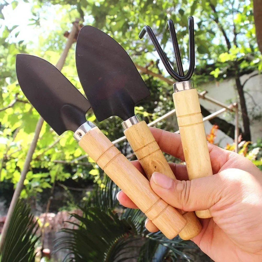 3Pcs/Set Mini Garden Tool Set  - đánh giá và giá Cactus Mix Pot