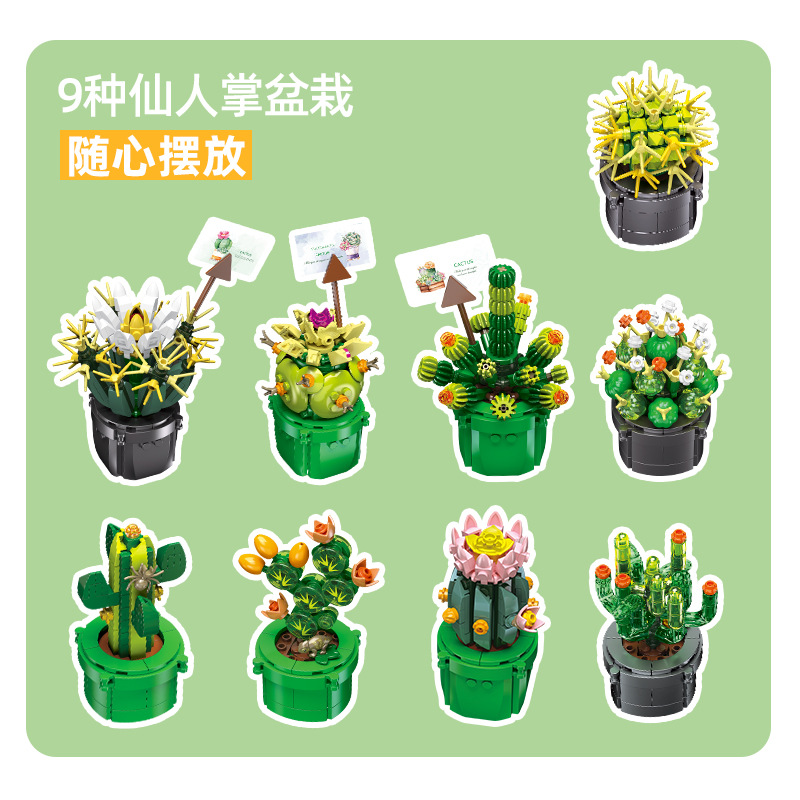 JIE-STAR JJ9175 Cactus Succule - đánh giá và giá Cactus Mix Pot