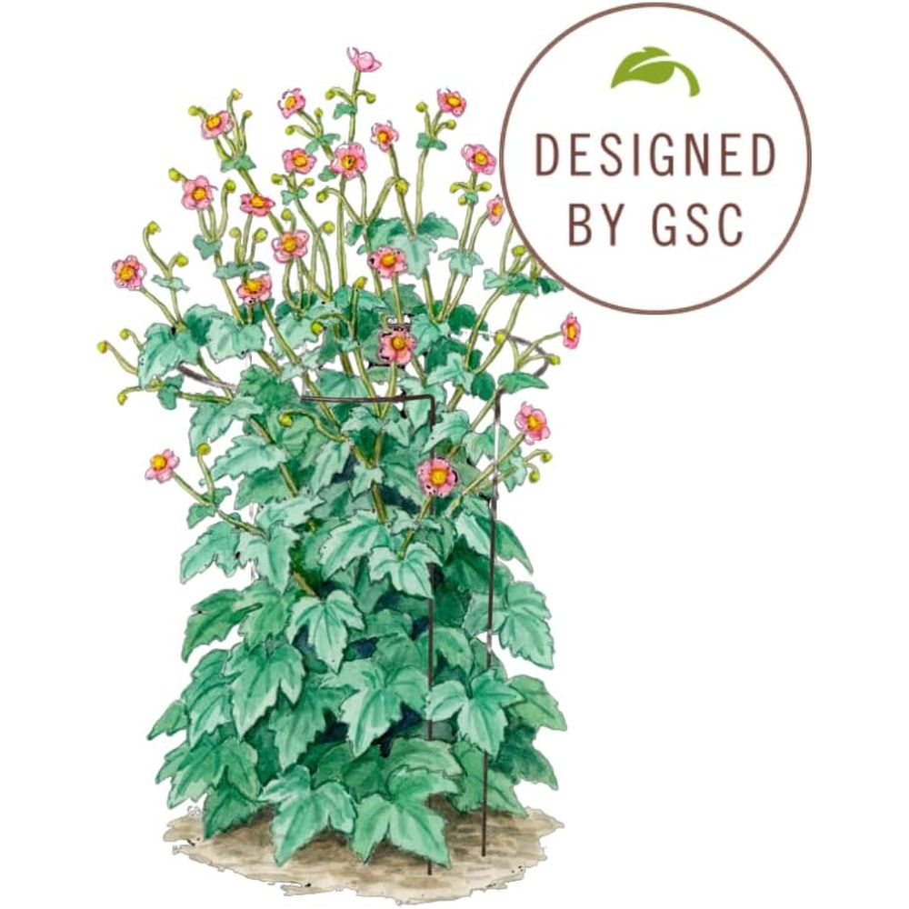 Metal Garden Plant Stakes | Du - đánh giá và giá Plants X