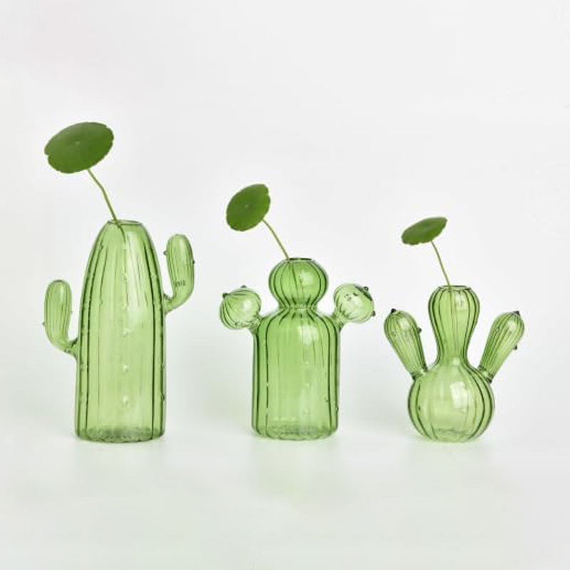 Colourful Glass Vase, Desktop  - đánh giá và giá Cactus Mix Pot