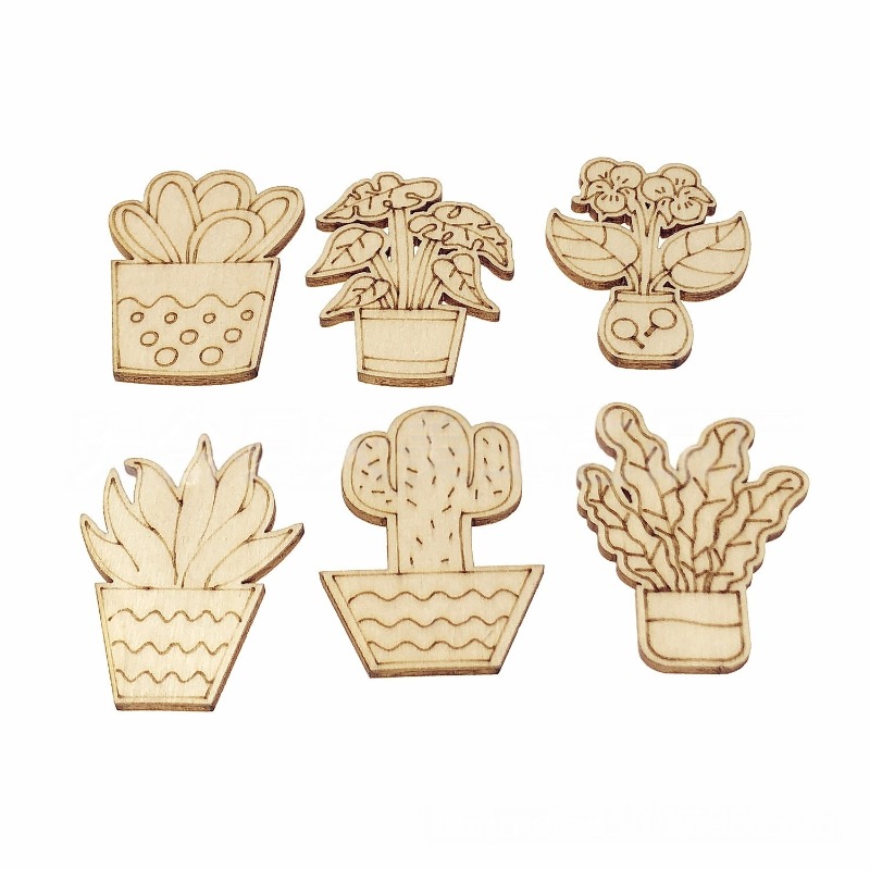 50PCS Mixed Styles Flower Cact - đánh giá và giá Cactus Mix Pot