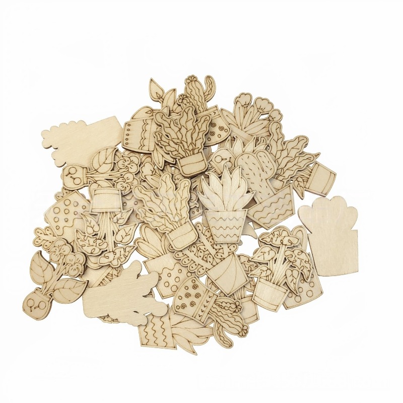 50PCS Mixed Styles Flower Cact - đánh giá và giá Cactus Mix Pot