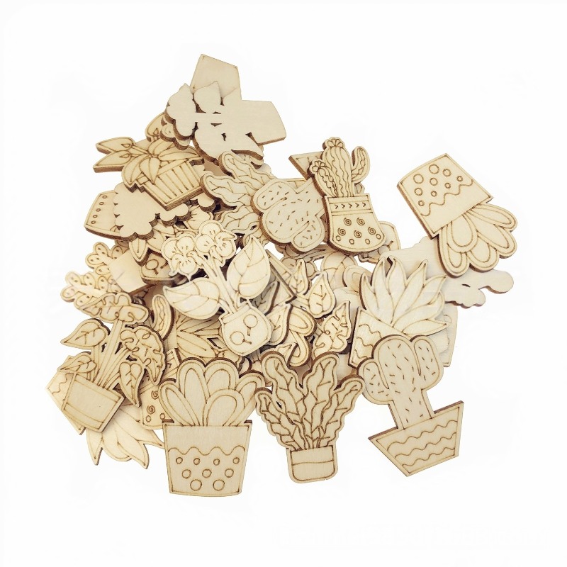 50PCS Mixed Styles Flower Cact - đánh giá và giá Cactus Mix Pot